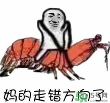 說人皮皮蝦是什么意思？女生叫男生皮皮蝦什么意思？