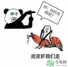 皮皮蝦為何突然火了？皮皮蝦怎么火的？