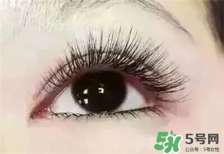 孕睫術(shù)是什么？孕睫術(shù)有用嗎？