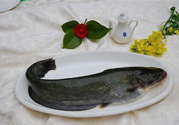 清江魚熱量高嗎？吃清江魚會(huì)胖嗎？