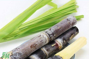 甘蔗發(fā)霉能吃嗎？吃了發(fā)霉的甘蔗怎么辦？
