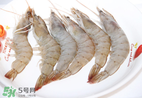 青蝦多少錢一斤？活青蝦多少錢一斤？