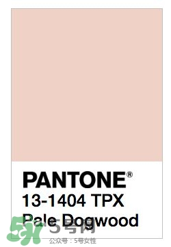 煙熏玫瑰色口紅哪個牌子好？煙熏玫瑰色口紅推薦