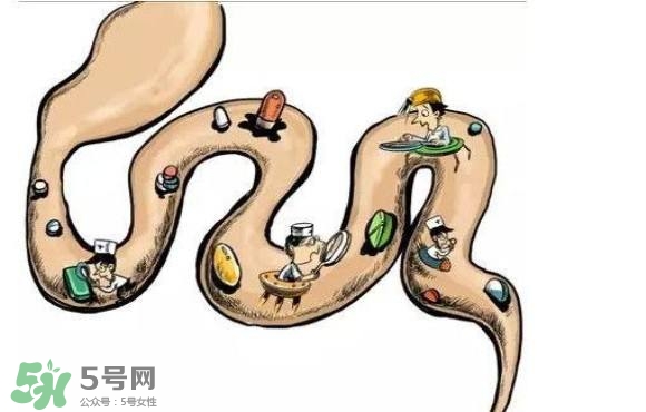便秘吃什么藥好？便秘吃什么藥最快排便？