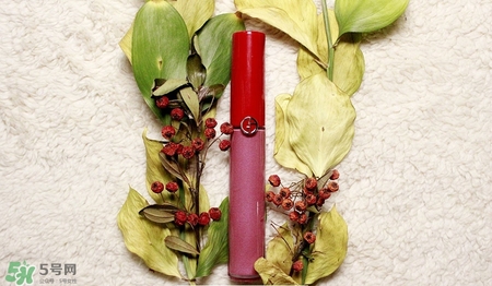 肉桂色口紅哪個牌子好？肉桂色口紅推薦