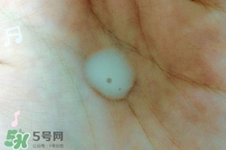 希思黎抗皺精華水怎么樣?希思黎抗皺精華水好用嗎? 希思黎抗皺精華水怎么樣?希思黎抗皺精華水好用嗎?