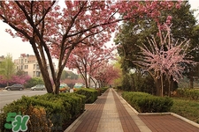 倒春寒吃什么好？倒春寒吃什么養(yǎng)生？