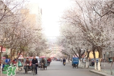 倒春寒是一種什么冷？倒春寒為什么會冷？