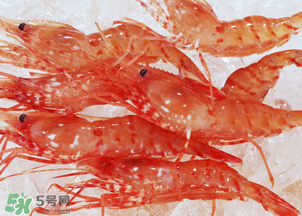 蝦凍了一年還能吃嗎？蝦凍了半年還能吃嗎？