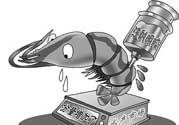 活蝦灌膠水是真的嗎？活蝦灌膠水人吃了會有什么害處？