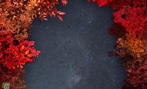 紅棕色是什么顏色？紅棕色口紅試色