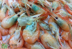 蝦變綠了能吃嗎？?jī)鑫r變綠了能吃嗎？