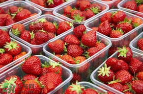 草莓爛了點(diǎn)皮可以吃嗎？草莓表皮發(fā)白是爛了嗎？