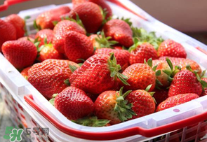 草莓爛了點(diǎn)皮可以吃嗎？草莓表皮發(fā)白是爛了嗎？