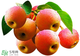 南國梨為什么有酒味？南果梨有酒味能吃嗎？