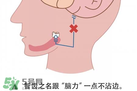 智齒會引起耳鳴嗎？耳鳴跟智齒有關(guān)系嗎？