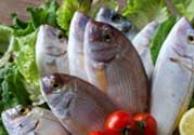 魚(yú)有禽流感嗎？吃魚(yú)會(huì)得禽流感嗎？