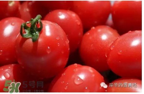 番茄紅口紅哪個牌子好？番茄色口紅推薦