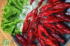 小龍蝦可以放冰箱嗎？小龍蝦冰箱能保存多久？