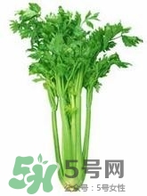 負(fù)卡路里的食物有哪些？負(fù)卡路里食物真的吃不胖嗎？