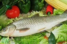 草魚能生吃嗎？草魚可以直接生吃嗎？