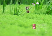 驚蟄吃什么蔬菜好？驚蟄節(jié)氣養(yǎng)生吃什么蔬菜？