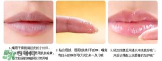 愛麗小屋唇部磨砂膏怎么樣？愛麗小屋唇部磨砂膏和悅詩(shī)風(fēng)吟哪個(gè)好？