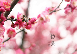 驚蟄如何養(yǎng)生？驚蟄前后如何養(yǎng)生？