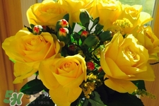 4月份適合種什么花？四月份種什么花好？