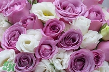 4月份適合種什么花？四月份種什么花好？