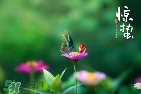 驚蟄節(jié)氣要注意什么？驚蟄節(jié)氣養(yǎng)生注意事項(xiàng)