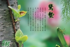 驚蟄節(jié)氣吃什么水果？驚蟄養(yǎng)生吃什么水果好？
