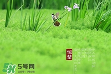 驚蟄如何養(yǎng)生？驚蟄前后如何養(yǎng)生？