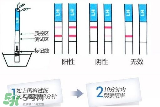 早孕試紙什么時候測最準？早孕試紙什么時候可以測出來