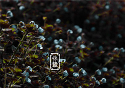 驚蟄節(jié)氣要注意什么？驚蟄節(jié)氣養(yǎng)生注意事項(xiàng)