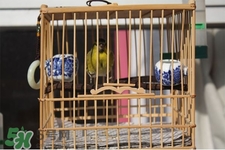 禽流感期間能接觸鳥糞嗎？碰到鳥糞會得禽流感嗎？