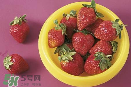 巧克力草莓是什么品種？巧克力草莓好吃嗎？