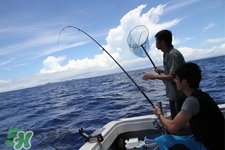 三月份可以釣魚了嗎？三月份好釣魚嗎？