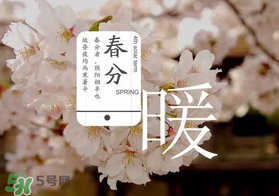 春分種什么菜？春分適合種什么菜？