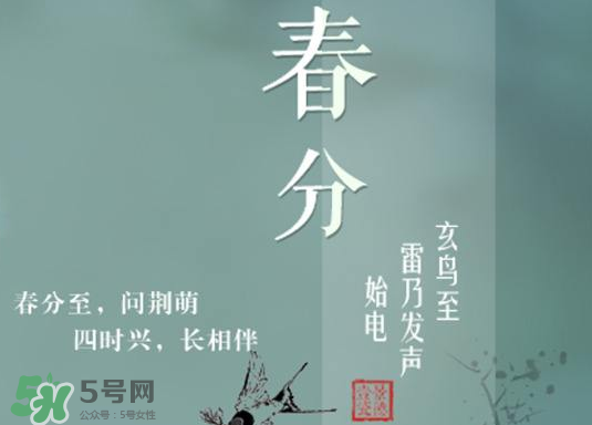 春分種什么菜？春分適合種什么菜？