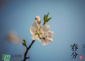 春分種什么菜？春分適合種什么菜？