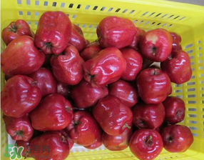 蛇果打蠟用什么洗？蛇果上的蠟怎么去除？