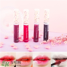 2017染唇液排行榜10強 2017新品染唇液推薦 2017染唇液排行榜10強 2017新品染唇液推薦