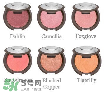 becca腮紅色號試色 becca腮紅試色圖 becca腮紅色號試色 becca腮紅試色圖