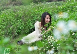 花粉過敏戴口罩有用嗎？花粉過敏戴什么口罩好？