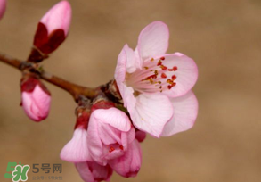 2017年春分是什么時候？2017年春分是幾月幾號？