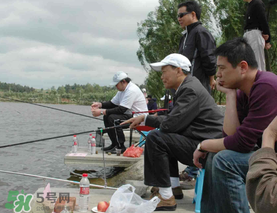 驚蟄過后好釣魚嗎？驚蟄后陰雨天好釣魚嗎？