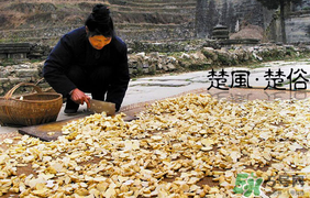 2017年什么時候攔社？2017年新墳攔社是哪一天？