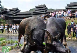 春社日怎么計(jì)算？2017年春社怎么算？