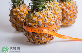 三月份什么水果上市？3月份什么水果上市？